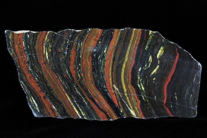 Polished Tiger Iron Stromatolite - ( Billion Years) #75830